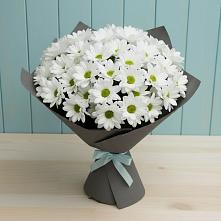 Букет цветов из:  Хризантемы #REPLACE_PRED# Степной